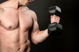 Muskelfasern und ihr Bedeutung im Training